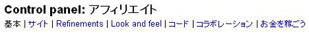 google_coop_adsense_09.jpg